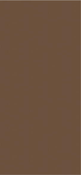 Кромка F528 ST20 0,8*28 мм Металл брашированный бронзовый (75 м бухта) Egger
